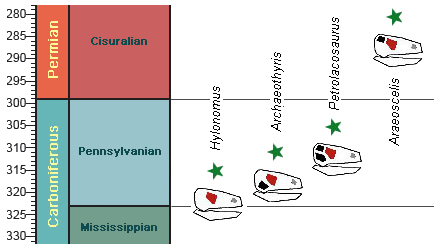 Diapsids And Synapsids
